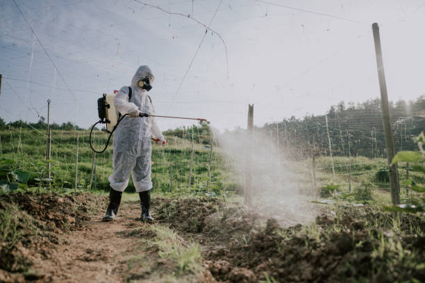 Best Ant Control Services  in Fruitland, IA