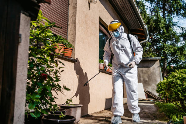 Best Pest Prevention Services  in Fruitland, IA