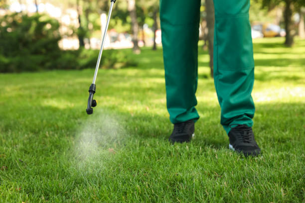 Best Residential Pest Control  in Fruitland, IA
