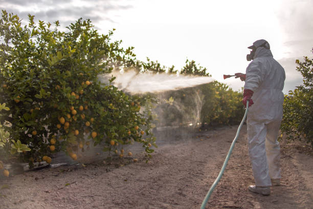 Best Pest Control for Businesses  in Fruitland, IA