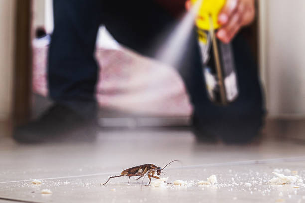 Best Affordable Pest Control Services  in Fruitland, IA